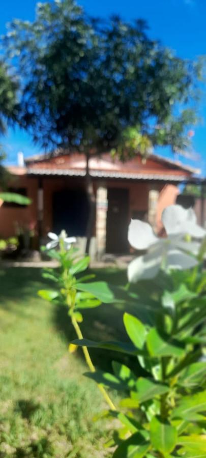 A Arca Pousada Praia de Pipa Luaran gambar